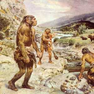 Neandertalac je ... Drevni ljudi su neandertalci