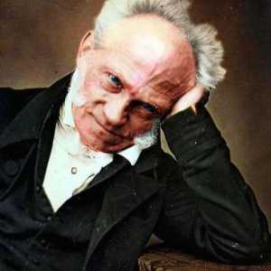 Njemački filozof Schopenhauer Arthur: biografija i djela