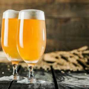 Neustrašeno pivo: uporaba i rok trajanja