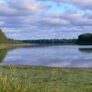 Nizhnesvirsky rezervat - očuvanje prirodne baštine