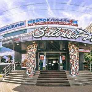 Nizhny Novgorod, Salvador Dali (restoran-klub-karaoke): adresa, recenzije