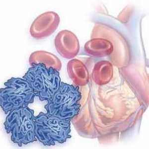 Norma CRP u biokemijskoj analizi krvi