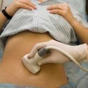 Norme veličine maternice na ultrazvuku tijekom trudnoće i nakon porođaja. Normalna veličina…