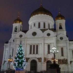 Novogodišnje stablo u katedrali Kristova Spasitelja: recenzije, fotografije