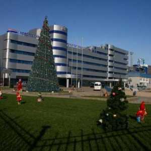 Novorossiysk morska luka: fotografija, TIN Novorossiysk Commercial Sea Port