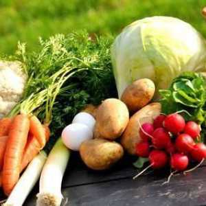 Hranjive tvari su biološki značajni elementi. Moderne hranjive tvari: opis, vrsta, uloga