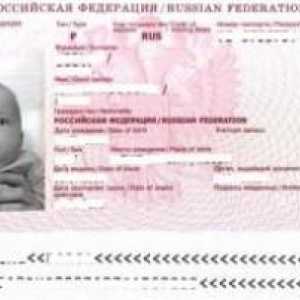 Trebam li putovnicu za dijete do 14 godina? Dokumenti i značajke