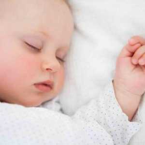 Hoće li se novorođenče probuditi za hranjenje noću i danju?