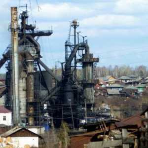 OJSC `Temeljovsko metalurško postrojenje `- 300 godina povijesti
