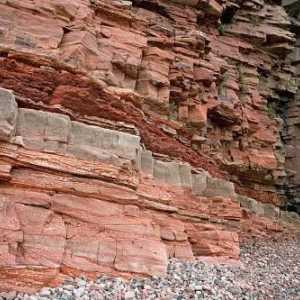 Detektivne terriganske stijene: opis, vrsta i klasifikacija