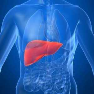 Ispitivanje jetre: popis metoda