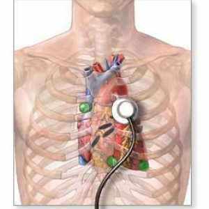 Ispitivanje srca. Ultrazvuk srca: što pokazuje? Metode ispitivanja srca