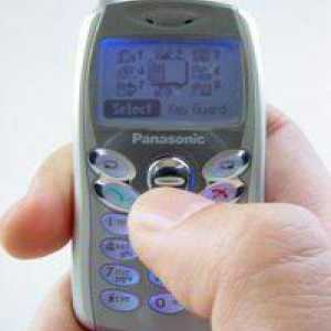 Pregled malog telefona Panasonic GD55