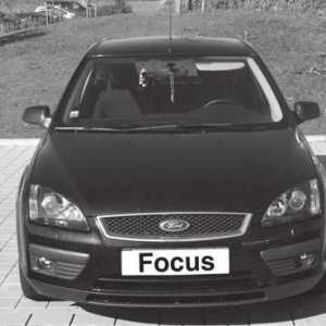 Vrlo važan detalj o Ford Focusu 2 je filtar salona. Mora se redovito zamijeniti