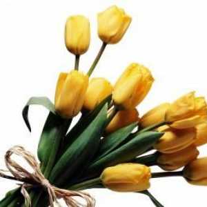 Izrada buketa. Izrada buketa od tulipana. Izrada buketa svježeg cvijeća