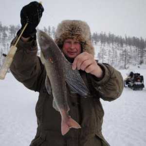 Lov i ribolov u Sibiru: glavna obilježja