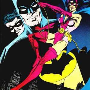 DC Comics Huntress - Poznati stripski lik