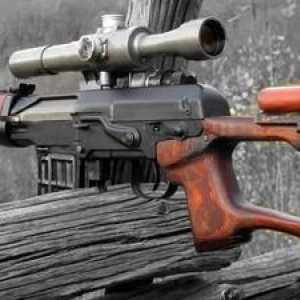 Lovačko oružje (puzano) ruske proizvodnje: pregled
