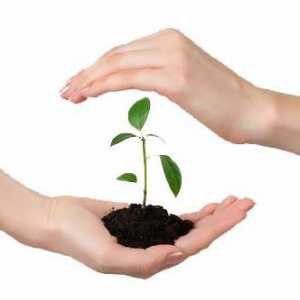 Zaštita bilja: neki aspekti i činjenice
