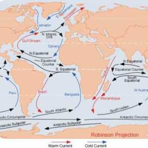 Što je oceanska struja? Uzroci oceanskih struja