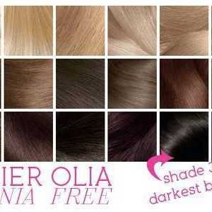 "Olia", boja za kosu: paleta svih vrsta boja