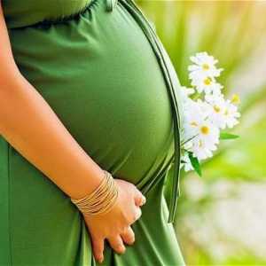 Maslinovo ulje iz strijama tijekom trudnoće: recenzije