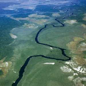 Opis, karakteristike, fotografija rijeke Orinoco
