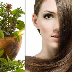 Ispiranje kose s biljkama: tajne lijepe frizure