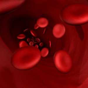 Određivanje vrste krvi djeteta krvlju roditelja - zašto je to potrebno?