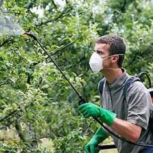 Raspršivanje voćaka u jesen će zaštititi buduće usjeve