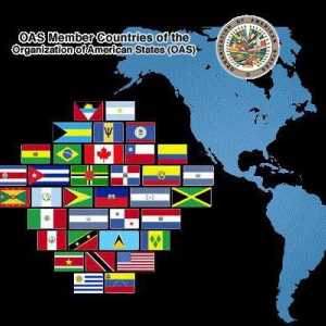 Organizacija američkih država (OAS)