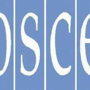 Organizacija za sigurnost i suradnju u Europi (OESS): struktura, ciljevi