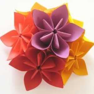 Origami papira: shema za početnike. Origami: sheme boja. Origami za početnike: cvijet