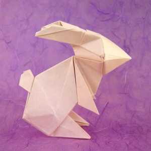 Origami "Zec" i modularni zec. sheme