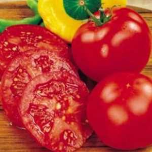 Izvorni recept: rajčice u želatini