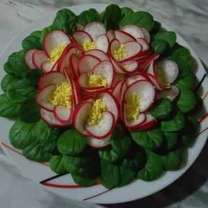 Izvorna salata `Violets`: različite mogućnosti kuhanja