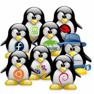 OS `Linux`. Što je ruski `Linux`: opis, karakteristike i recenzije