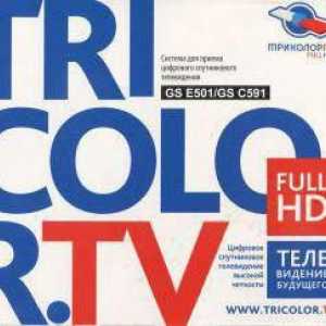 Pogreška "0" na "Tricolor TV" - što učiniti, kako to popraviti?