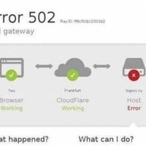 Pogreška 502 Bad Gateway - što je to? Uzroci i rješenja