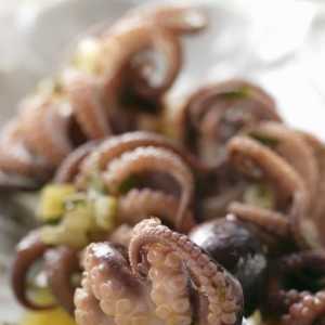 Octopus: recepti i značajke kuhanja