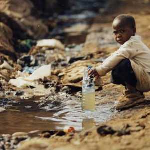 Glavni ekološki problemi u Africi