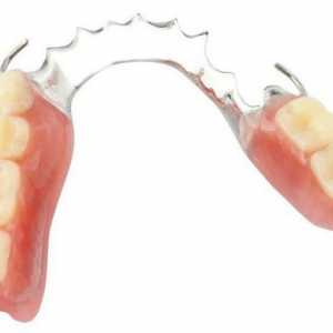 Osnovne klasifikacije čeljusti bez zubaca