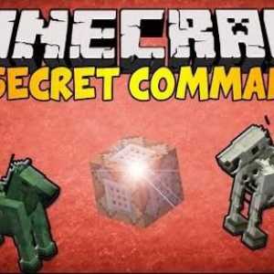 Osnovne naredbe privatnog u Minecraftu