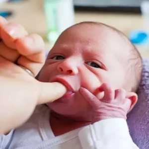 Glavni refleksi novorođenčadi: opis, značajke i popis