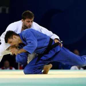 Osnove judo: tehnike, trening i tehnike borbe. Borilačke vještine