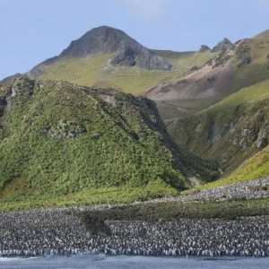 Značajke otoka Macquarie: geografski položaj, priroda i klima