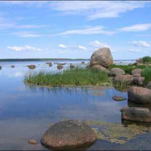 Otok velikih učitelja u Finskoj zaljevu: ekspedicija, fotografija