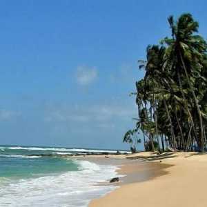 Šri Lanka: vremenske prilike po mjesecima i klimi. Opis prirode otoka i pregled turista