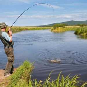 Izvješća o ribolovu (Chelyabinsk regija): raznolikost vrsta i korištena oprema