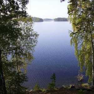 Odmor na Chelyabinskim jezerima: cijene, recenzije, baze i ostatak divljih